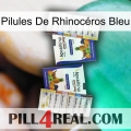 Pilules De Rhinocéros Bleu 12